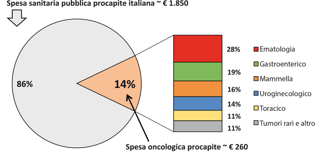Figura 3. Ripartizione del costo oncologico nel bacino di popolazione di forlì-cesena per gruppo di patologia